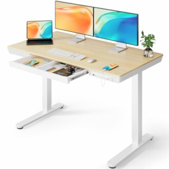 ErGear Electric Standing Desk